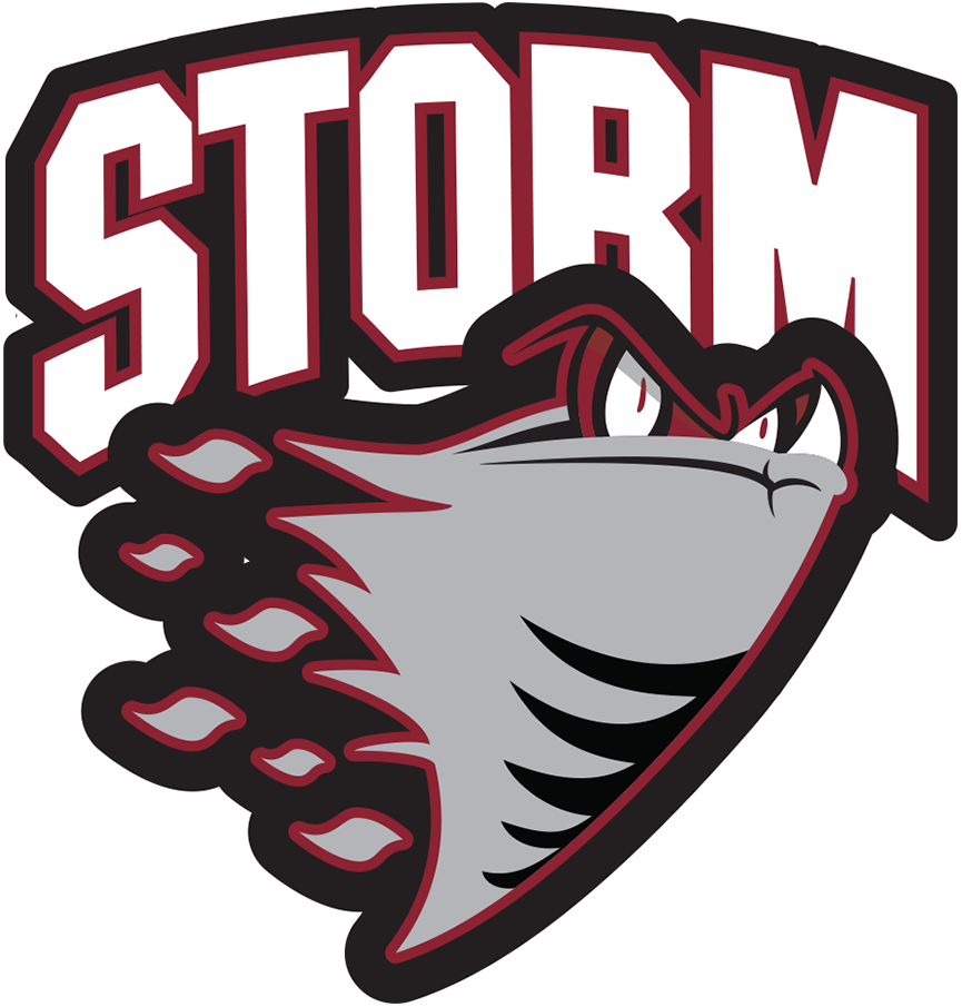 Guelph Storm 1997-2007 Primary Logo iron on transfers for clothing